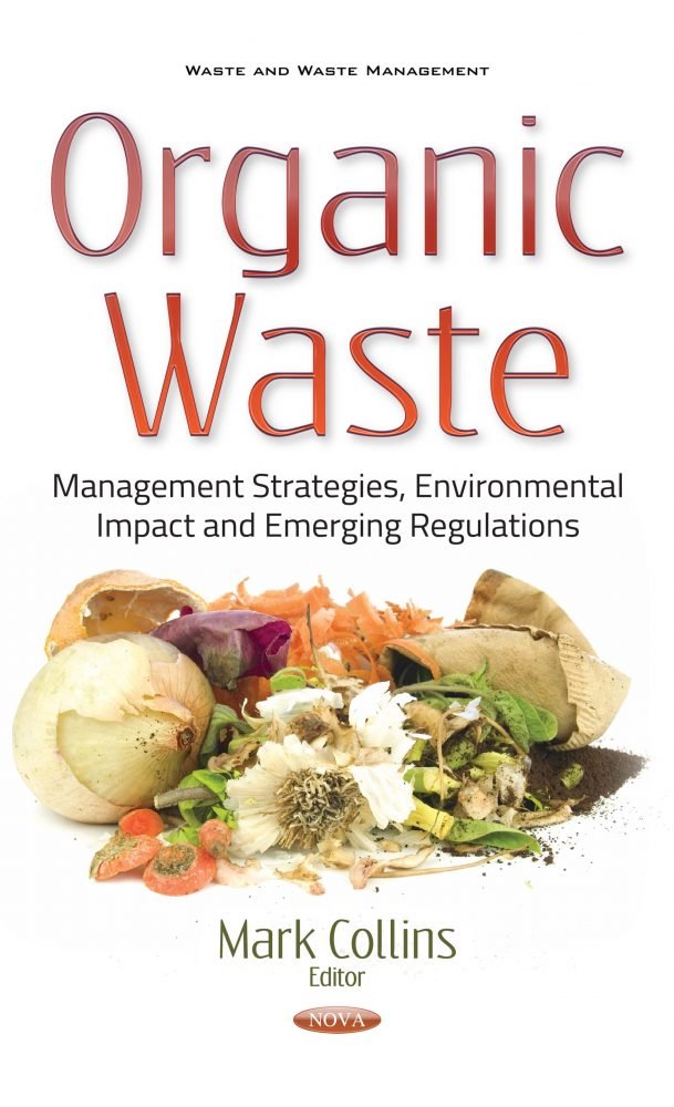 Environmental Impact and Waste Management Strategies: Charting a Sustainable Path